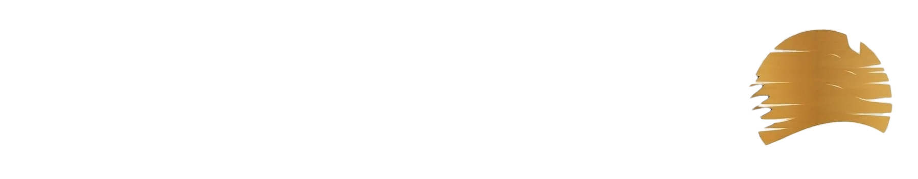 SA Travelcations logo